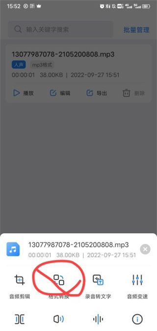 音频大师