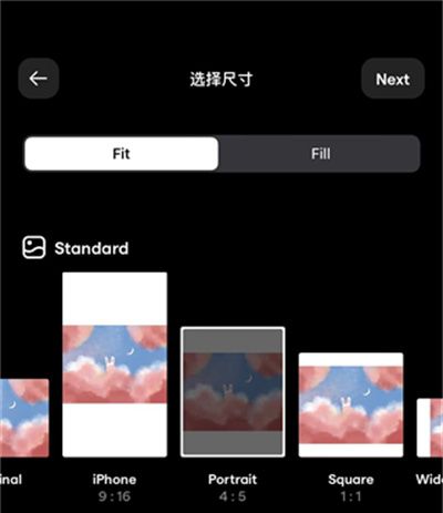Instasize相机