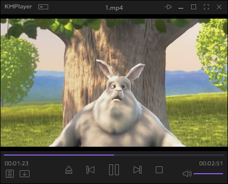 KMPlayer