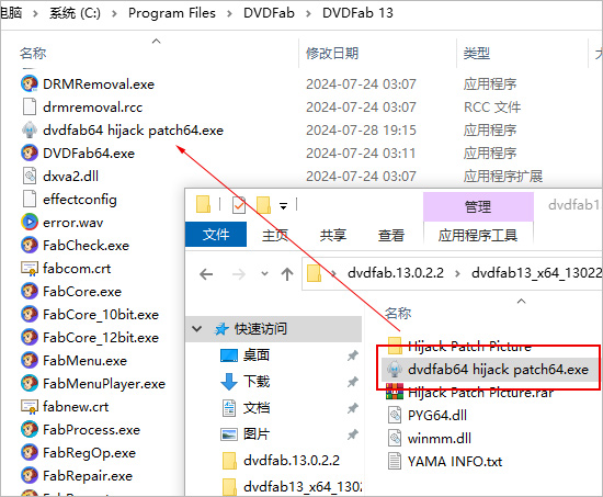 DVDFab13