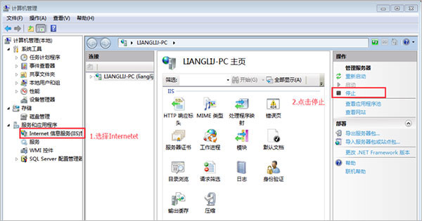 wampserver