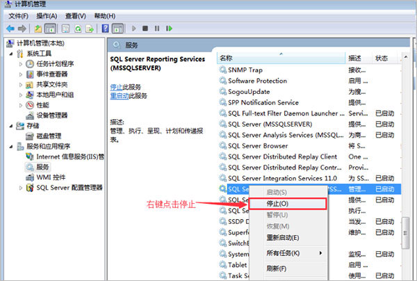 wampserver