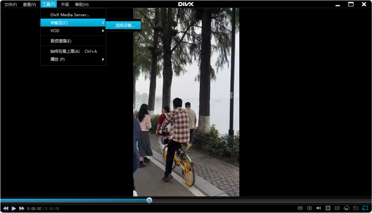 DivX Plus