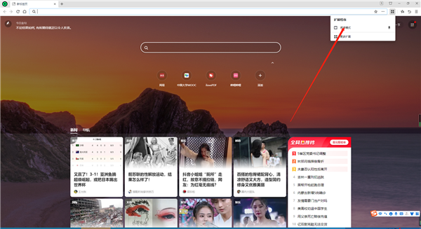 360极速浏览器X