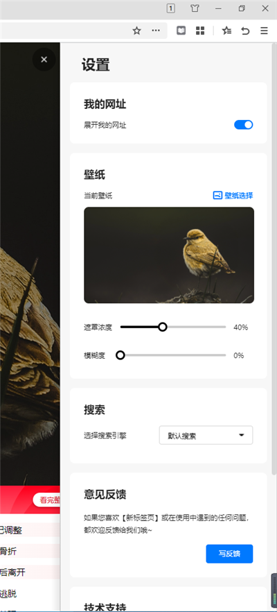 360极速浏览器X