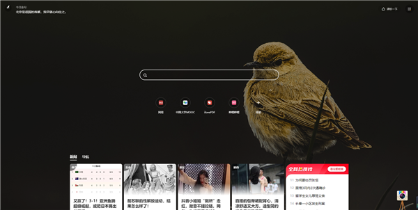360极速浏览器X