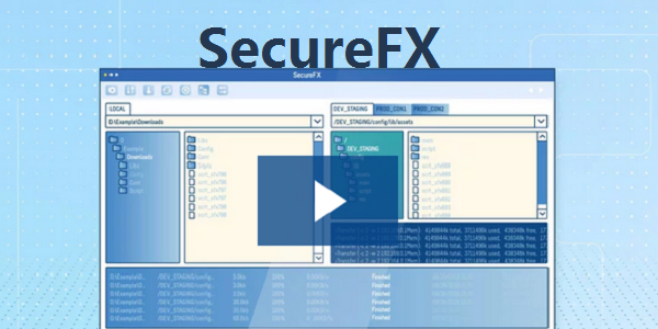 SecureFX中文版