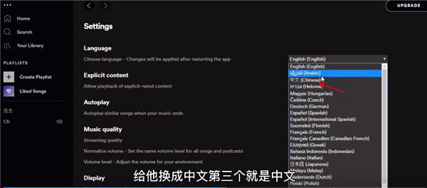 Spotify官网版