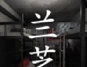 孙美琪疑案：兰芝logo图
