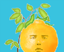 脸树图标