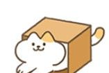 进来吧猫咪纸箱图标