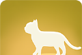 旅行猫咪世界图标
