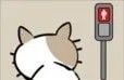 猫咪不见了图标