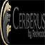 Cerberus FTP Server(Windows FTP服务器)图标