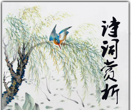 诗词赏析logo图