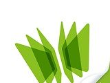 爱学习教师logo图