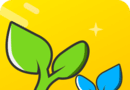 易云口语logo图