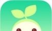 综合素质logo图