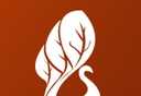 云普香茶logo图