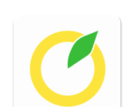 柚子单词logo图