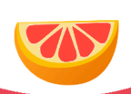 酸橙嘟嘟logo图