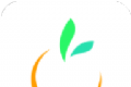 橙宝网logo图