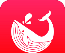 迪星生活logo图