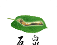爱石泉logo图