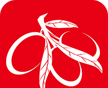 爱清涧logo图
