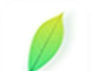 青叶看点logo图