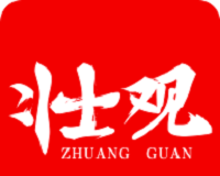 壮观logo图