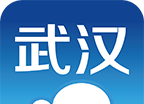 云上武汉logo图