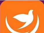 喜鹊网logo图