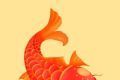 红鱼快讯logo图
