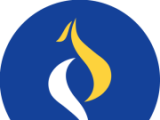 威凤教育logo图