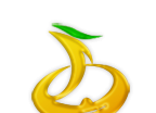 魏县融媒logo图