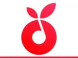 小叶子陪练logo图