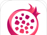 石榴联盟logo图