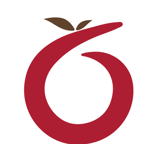红枣严选logo图
