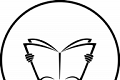 渡光小说logo图
