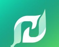 掌上南平logo图