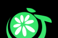 青橘美化logo图