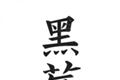 黑莓小说logo图