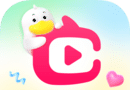 点淘logo图