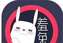 羞兔动态壁纸图标