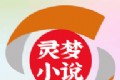 灵梦小说logo图
