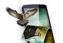 3dwallpapers壁纸logo图