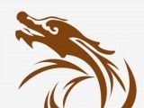 巨龙小说logo图