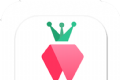 树莓小说logo图