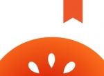 红果小说logo图